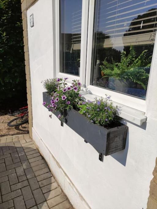 The Old Bar In Wiltshire - 1 Bedroom Guesthouse Chippenham (Wiltshire) Exterior foto